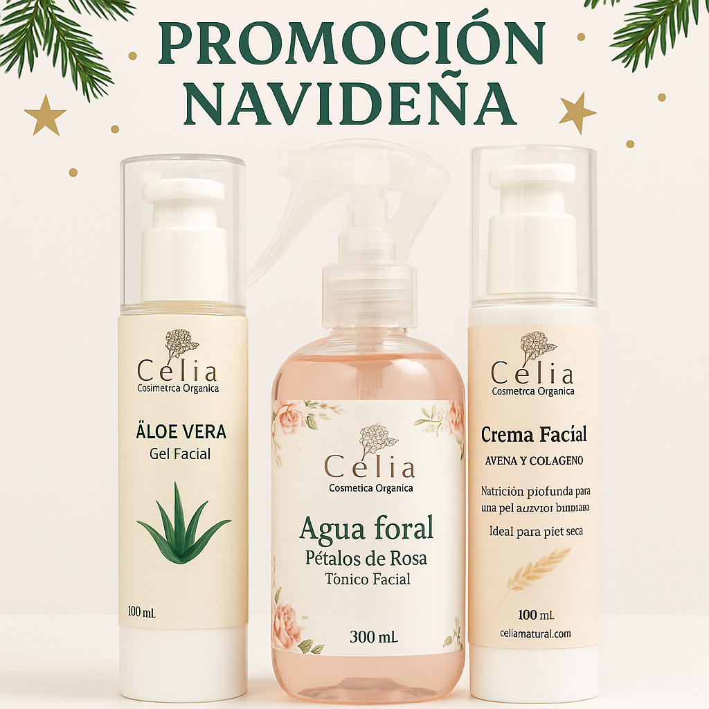 Kit de Navidad