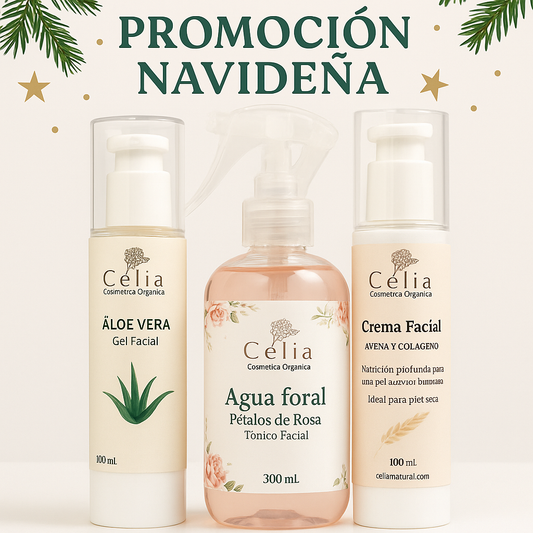 Kit de Navidad